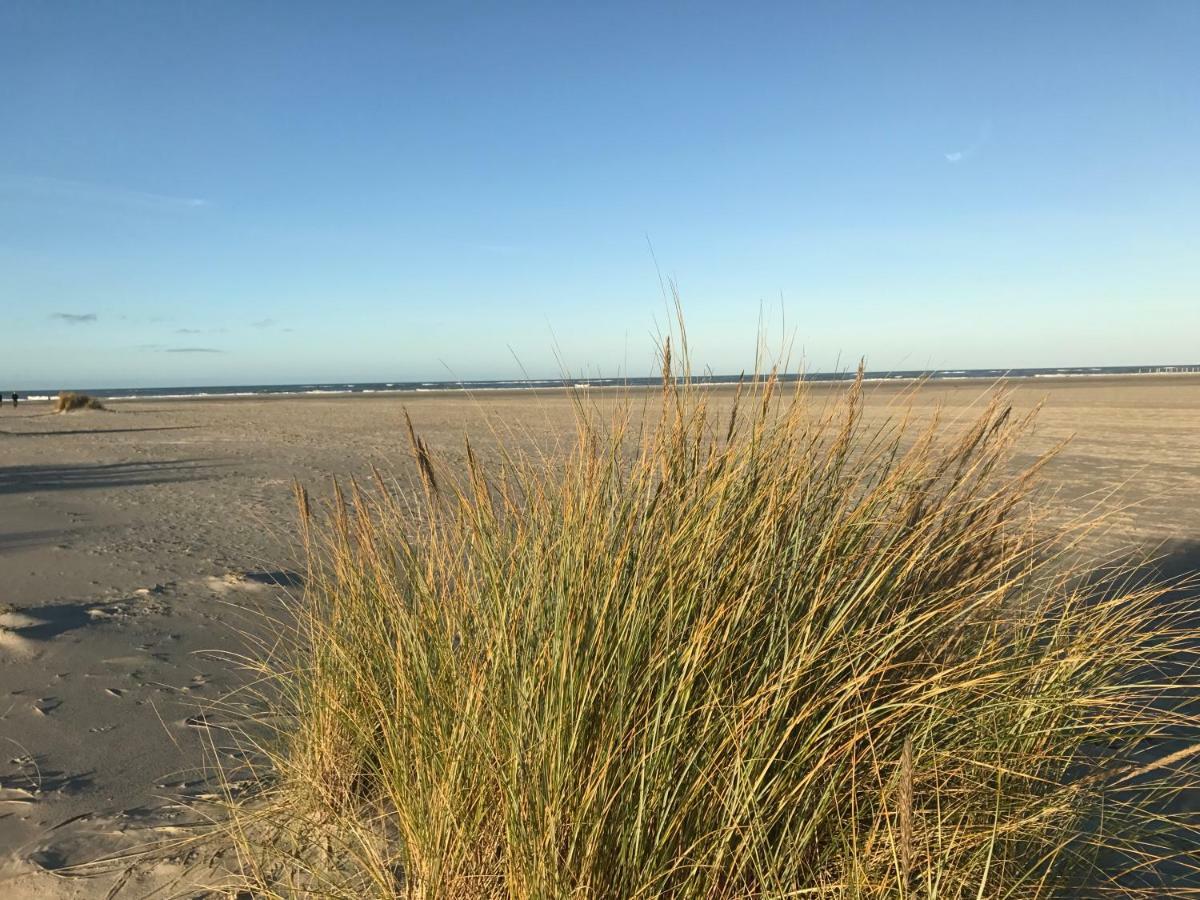 Strandlogement Om De Noord Schiermonnikoog Kültér fotó